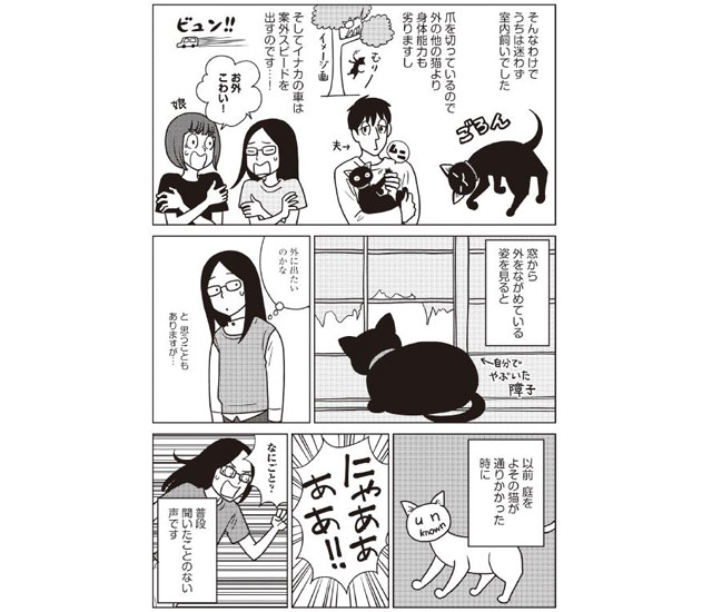 ｋａｄｏｋａｗａから猫好き漫画家１６人による にゃんと役に立つ猫マンガ 発売