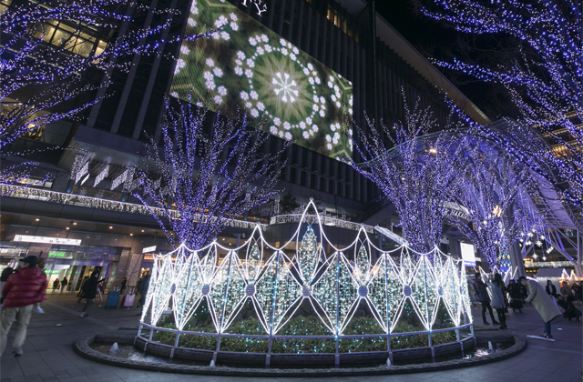 ８０万球の壮大なイルミネーション 光の街 博多 が今年も開催へ 福岡のニュース