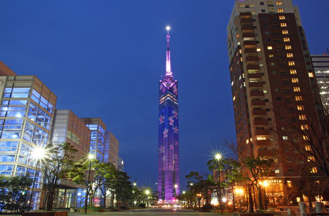 福岡タワー「桜イルミネーション」今年も点灯中