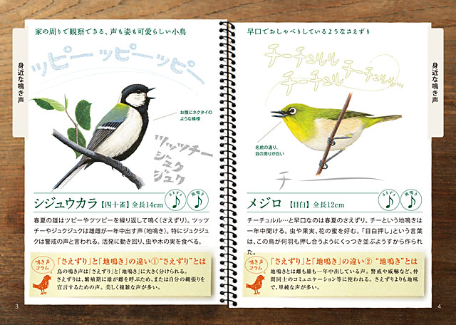 日本野鳥の会がオリジナル小冊子 鳴き声ノート を無料プレゼント