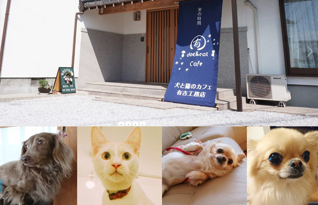 飯塚市に 犬と猫のカフェ 有吉工務店 オープン