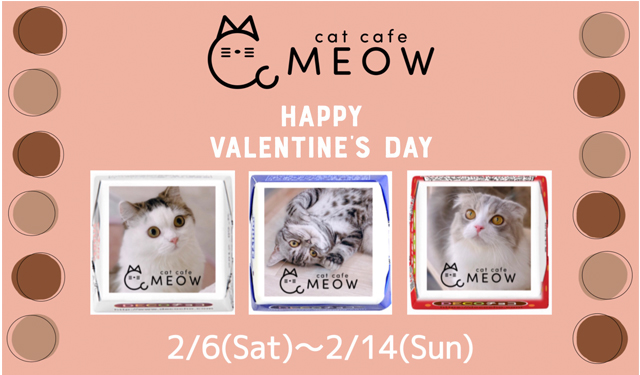 大名の猫カフェmeowで大人気のバレンタインイベント開催中