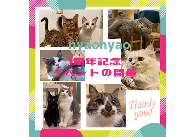 警固の猫カフェnyaonyao １周年記念イベント 開催