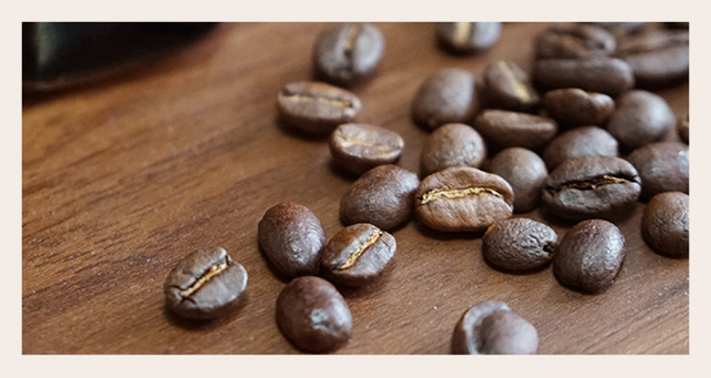 常に鮮度抜群のコーヒー豆をお客様にご提供 Genic Coffee ジェニックコーヒー 小倉にオープン