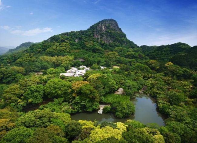 チームラボ、九州の大自然のアート展「かみさまがすまう森」今年も武雄温泉の御船山楽園で開催