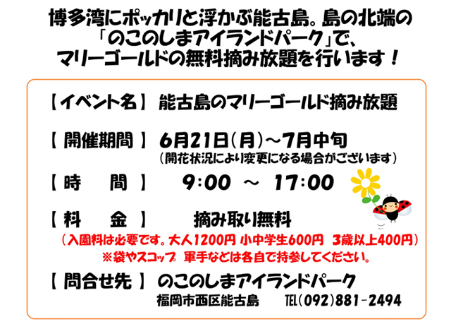 のこのしまアイランドパーク「能古島のマリーゴールド摘み放題」開催 - 福岡のニュース