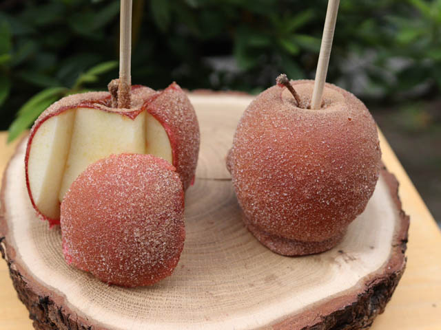 りんご飴専門店「代官山キャンディーアップル」が博多初出店へ
