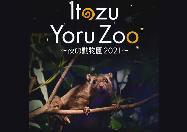 到津の森公園「ITOZU YORU ZOO ～夜 の動物園～」園内を間接照明でライトアップ、昼間とは異なる幻想的な夜の世界