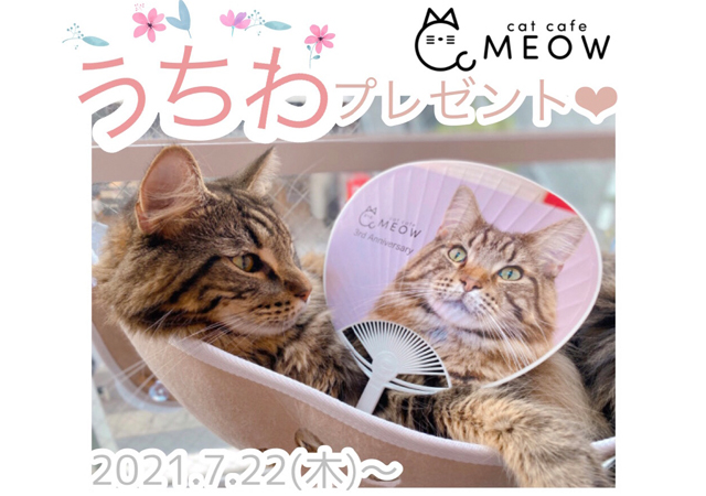 大名の猫カフェmeow ３周年記念うちわ プレゼント中 福岡のニュース