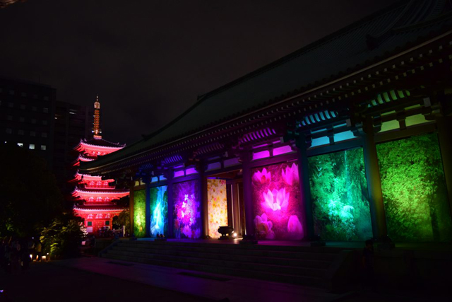 美しくライトアップされた寺社の夜の風情を楽しめる！博多旧市街エリア「屋外アートとライトアップ」開催