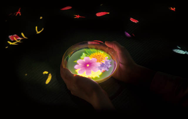 小さきものの中にある無限の宇宙に咲く花々 / Flowers Bloom in an Infinite Universe inside a Teacup