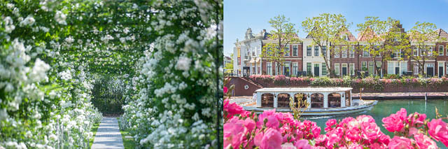 100万本のチューリップが咲き誇る、ハウステンボス「～花の街の祝祭～ フラワーフェスティバル」開催へ