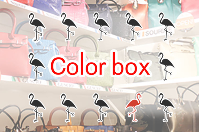 メンズ・レディスのバッグ専門店「Color box（カラーボックス）」マリノアシティ福岡にオープン！