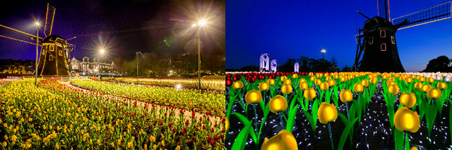 ハウステンボス、日本で一番早く満開のチューリップが楽しめる「100万本のチューリップ祭」