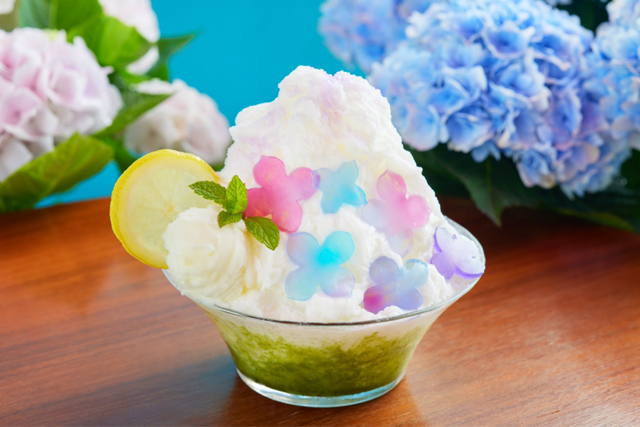 中国茶カフェ・チャイナカフェ「紫陽花の台湾カキ氷」初夏限定で販売開始！