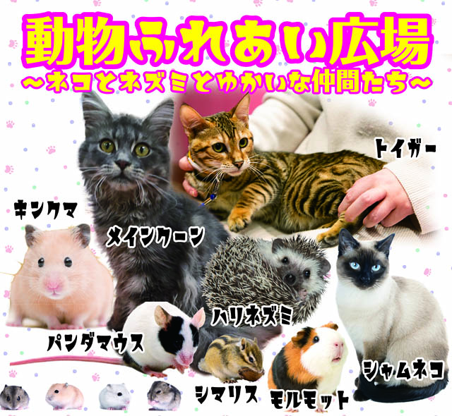 JR九州ホール「動物ふれあい広場～ネコとネズミとゆかいな仲間たち～」開催へ