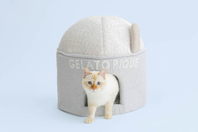 ジェラート ピケ、初の犬猫用アイテムが登場「GELATO PIQUE CAT&DOG」デビューへ