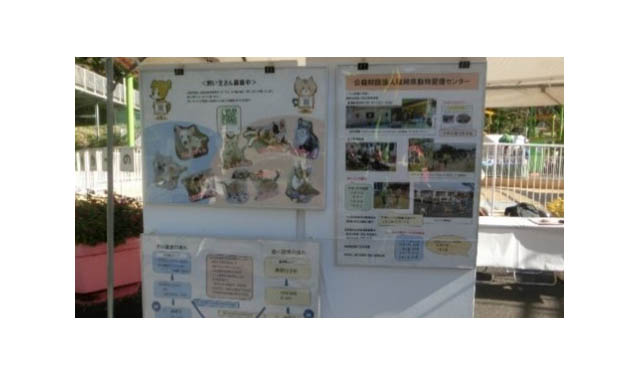 イオンペット×イオン九州合同企画、イオンモール筑紫野で保護猫の譲渡会をはじめとする動物愛護イベント開催へ