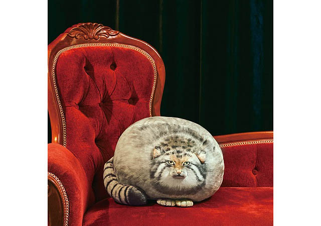丸すぎる世界最古の猫 「マヌルネコ」の野性味あふれる姿を細部までリアルに再現したもっちりクッション誕生