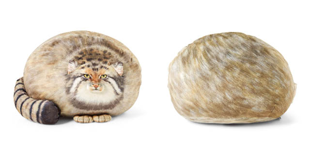 丸すぎる世界最古の猫 「マヌルネコ」の野性味あふれる姿を細部までリアルに再現したもっちりクッション誕生