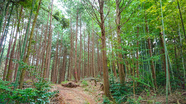 キャンパー向け森林レンタルforenta、福岡県筑前町に九州初上陸