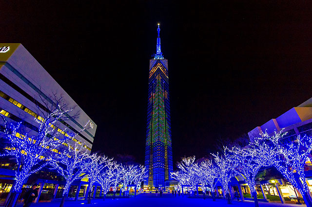 福岡タワーに全長108ｍのクリスマスツリーが点灯「ももち☆ブルーライトイルミネーション」