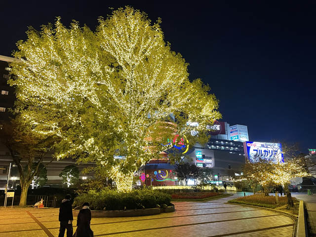 博多～中洲～天神と光の道が繋がる。福岡市 清流公園にイルミネーションが登場