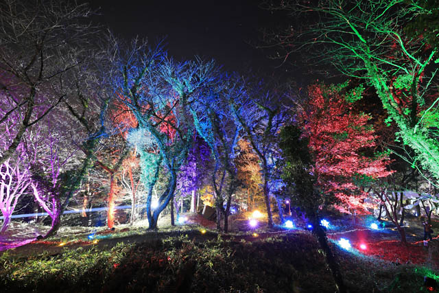 絶景スポットで有名な浮羽稲荷神社が光のアートで埋め尽くされる「ライトアップアート2023」開催決定