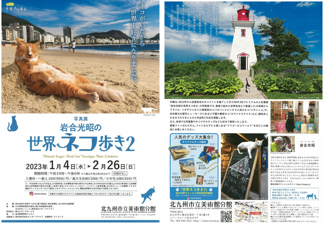 北九州市立美術館「写真展 岩合光昭の世界ネコ歩き2」開催