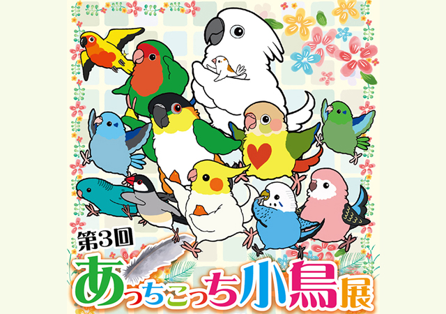 日本中からかわいい小鳥作品が大集合！「第3回 あっちこっち小鳥展 in 博多阪急」開催へ！