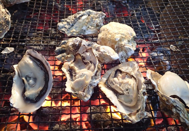 豊前海一粒牡蠣を満喫！行橋駅で「かきフェスタ in ゆくはし」1月8日開催！