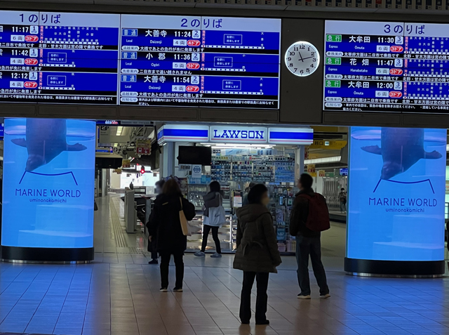 マリンワールドの人気者アザラシの特別映像、西鉄福岡（天神）駅の最新ビジョンで期間限定先行放映