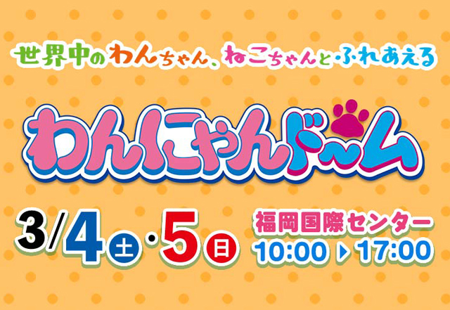 ペット同伴OK！世界中のわんちゃん、ねこネコちゃんとふれあえる！福岡国際センター「わんにゃんドーム2023」開催へ！