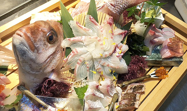 旬の魚をこだわりの有田焼きで贅沢に楽しむ「肴と一献 魚びたし」小田部にオープン！