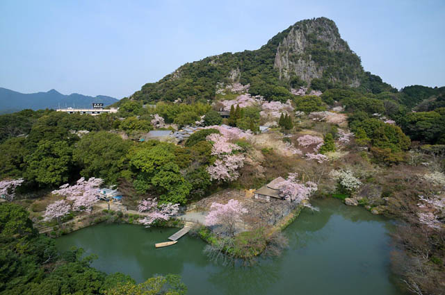 一度は訪れたい桜の名所 佐賀県武雄市 水面に映る九州最大級のライトアップは必見