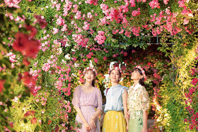 2000品種100万本のバラが一斉に花咲く"奇跡の花園"、ハウステンボス 5月限定の絶景「バラ祭」開催