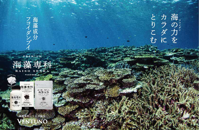 海藻の可能性を追求した新ブランド「海藻専科」がヴェントゥーノから登場