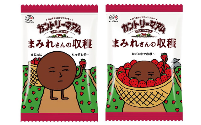 不二家、いちご味のチョコまみれ「カントリーマアムまみれさんの収穫BOX」発売