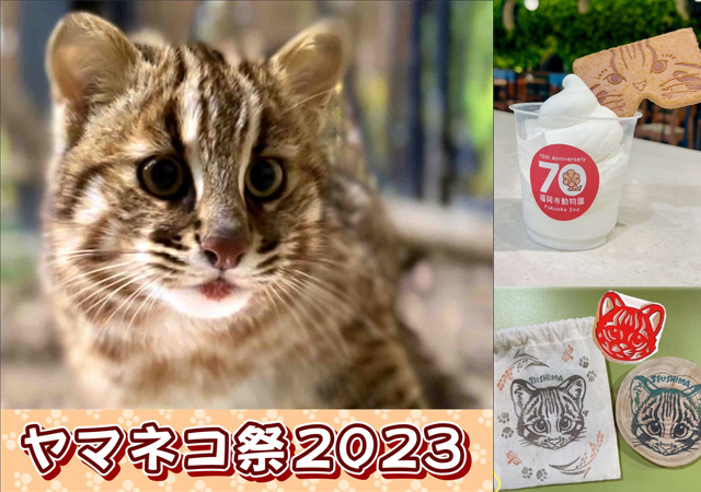 福岡市動物園でツシマヤマネコ啓発イベント「ヤマネコ祭2023」開催！