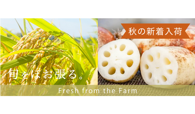 九州の旬のフルーツ・野菜セットをお届けするサービス『MINORI』から秋の新商品⼊荷