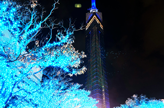 福岡タワーに全長108ｍのクリスマスツリーが点灯「ももち☆ブルーライトイルミネーション」開催！