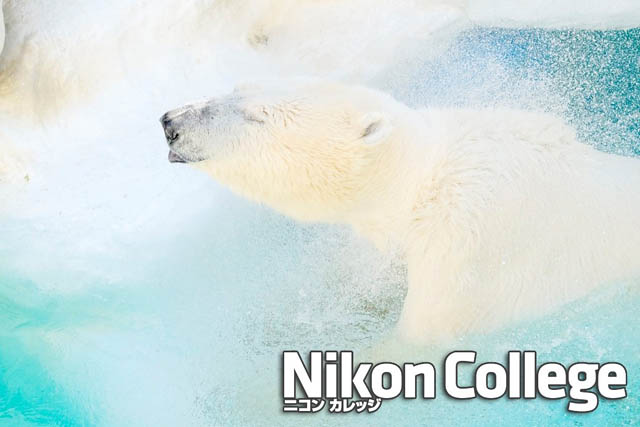 写真教室「ニコン カレッジ」1月・2月・3月講座の申込受付を開始