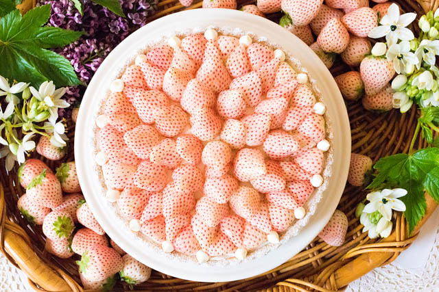 キル フェ ボン、イチゴの香りが溢れる2週間「2024 VERY STRAWBERRY」開催
