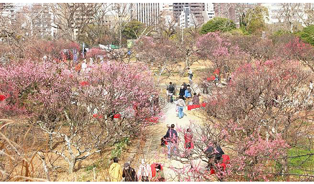 春の訪れを告げる梅の香り「舞鶴公園 梅まつり」楽しいイベント盛りだくさん！