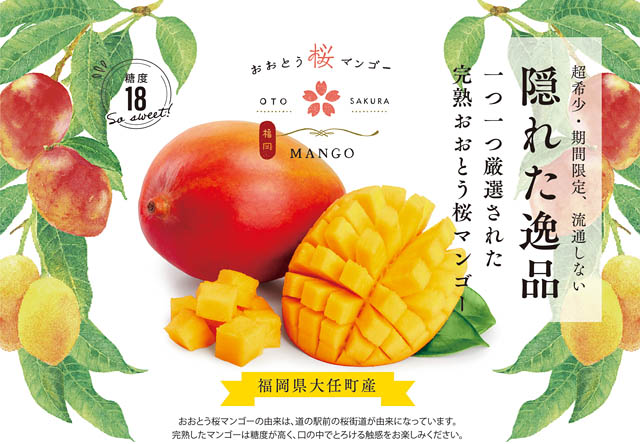 道の駅おおとう桜街道だけで買えるプチ贅沢なフルーツ「おおとう桜マンゴー」ロゴを刷新