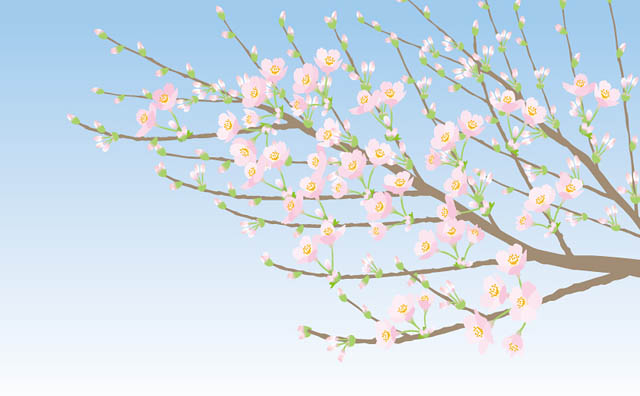 日本気象「第5回 桜の開花・満開予想」を発表