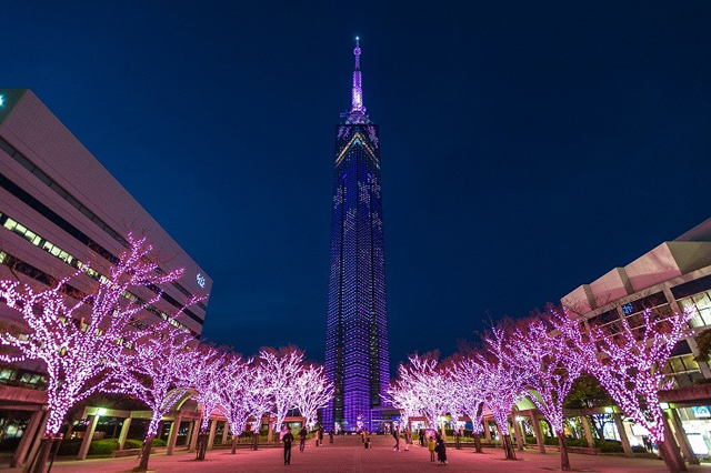 イベント盛りだくさん！福岡タワー35周年感謝祭「桜まつり」開催！周辺樹木も桜色にライトアップ！