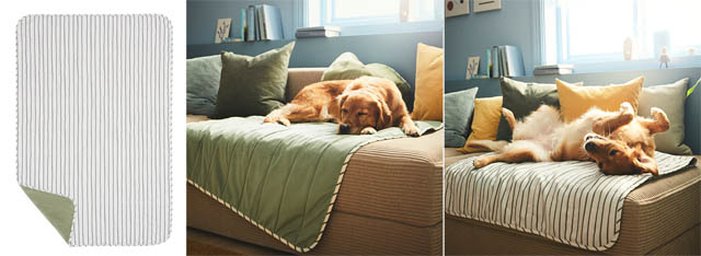 イケア、ペットを愛する人々の家での暮らしをより快適に明るくする「ウートソッド コレクション」発売