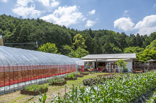 那珂川市「博多南自然体験ファーム」野菜収穫体験と新メニューのキャンプ飯ランチを充実しリニューアルオープン