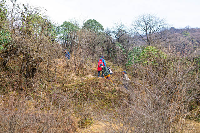 大牟田市動物園の職員がネパールでレッサーパンダの環境調査を実施 – 5月19日に活動報告